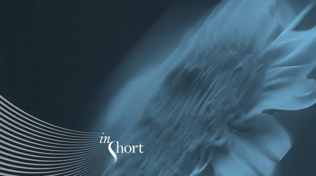 Weathering the Storm: Not-for-Profit Hospitals Four Years Post-COVID