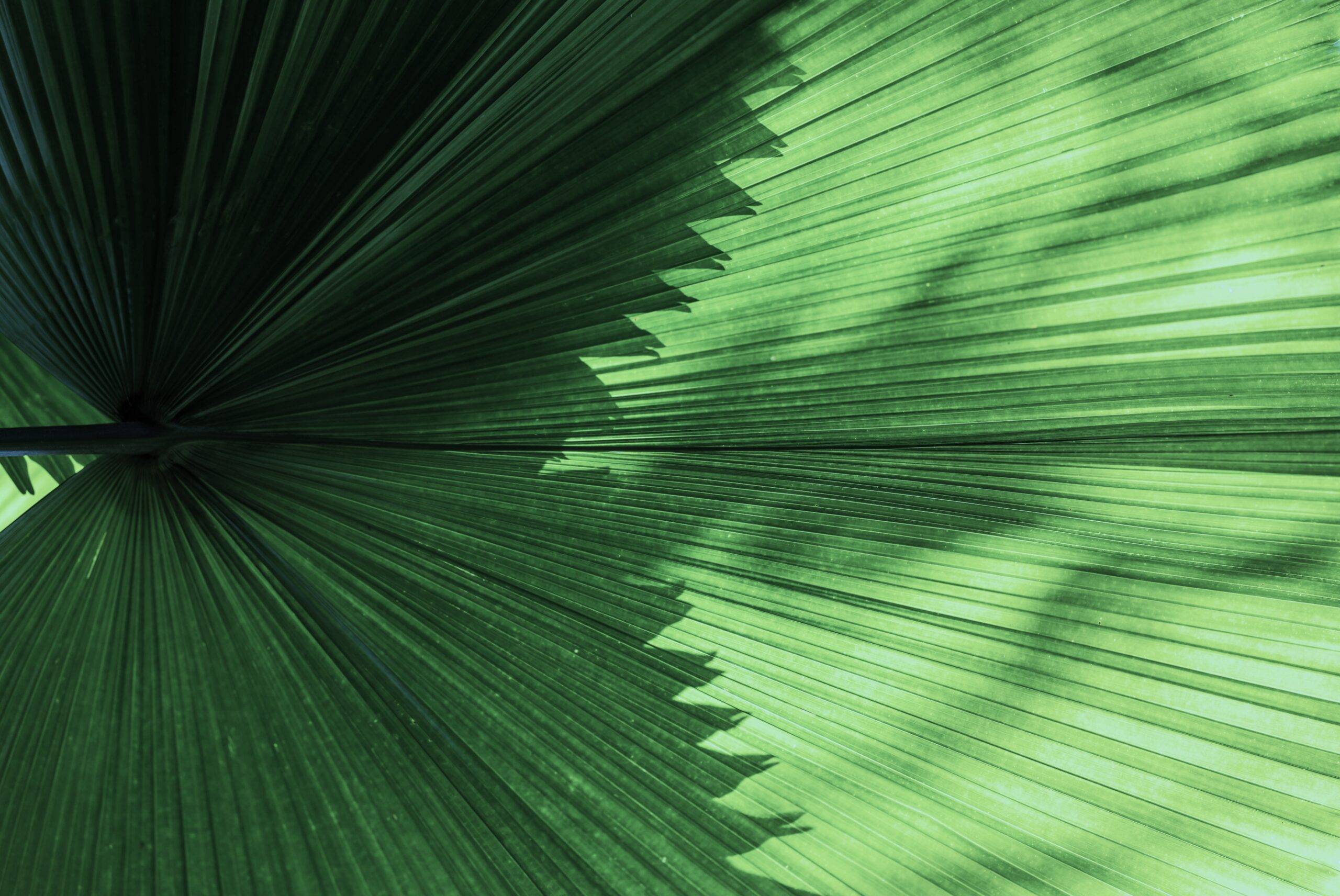 Climate Week Insights