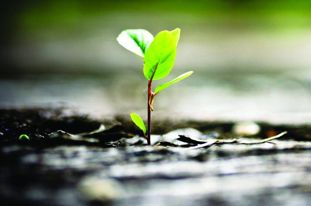 US Fed Ends Quantitative Easing: 5 Insights from the FOMC Statement