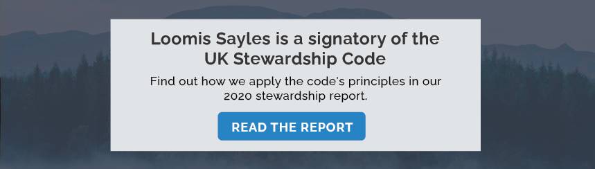 2020 Spotlight Sustainability Report