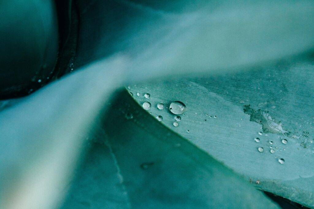 Antimicrobial Resistance Overview