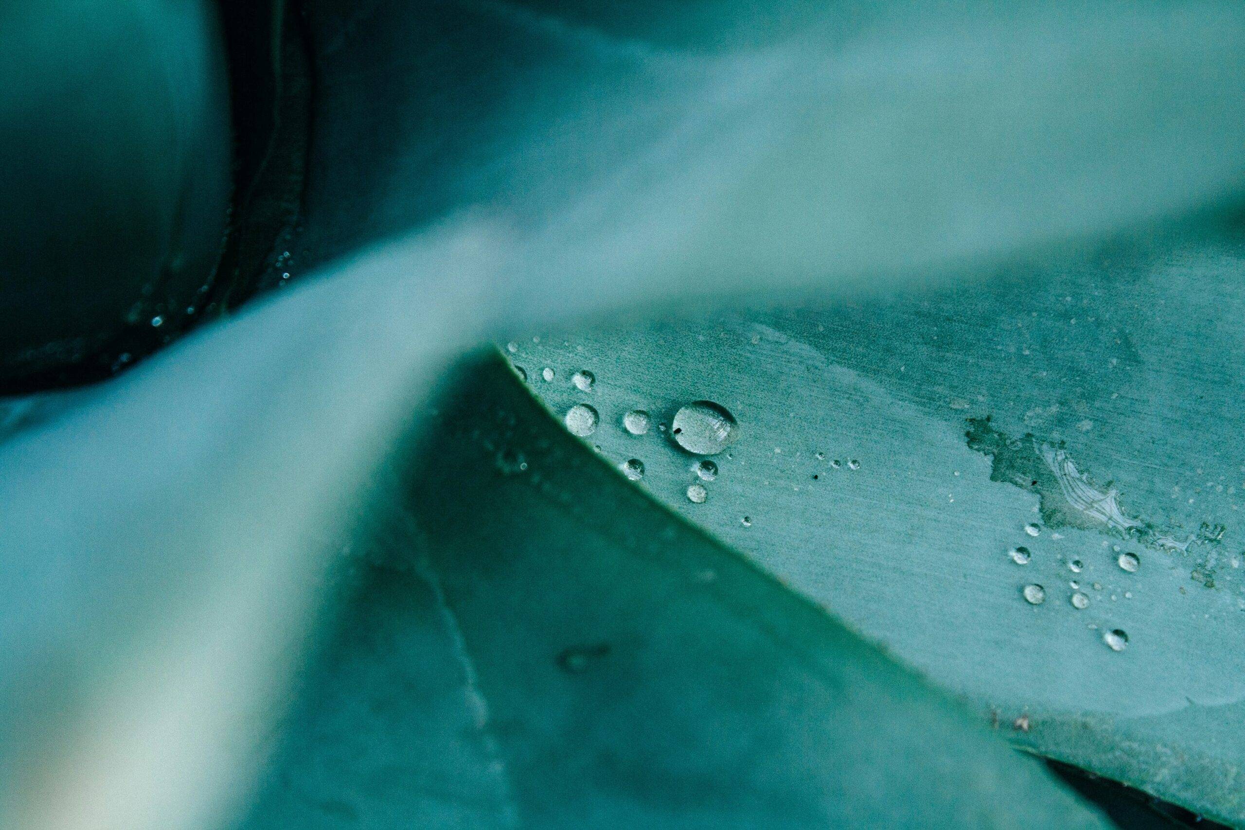 Antimicrobial Resistance Overview