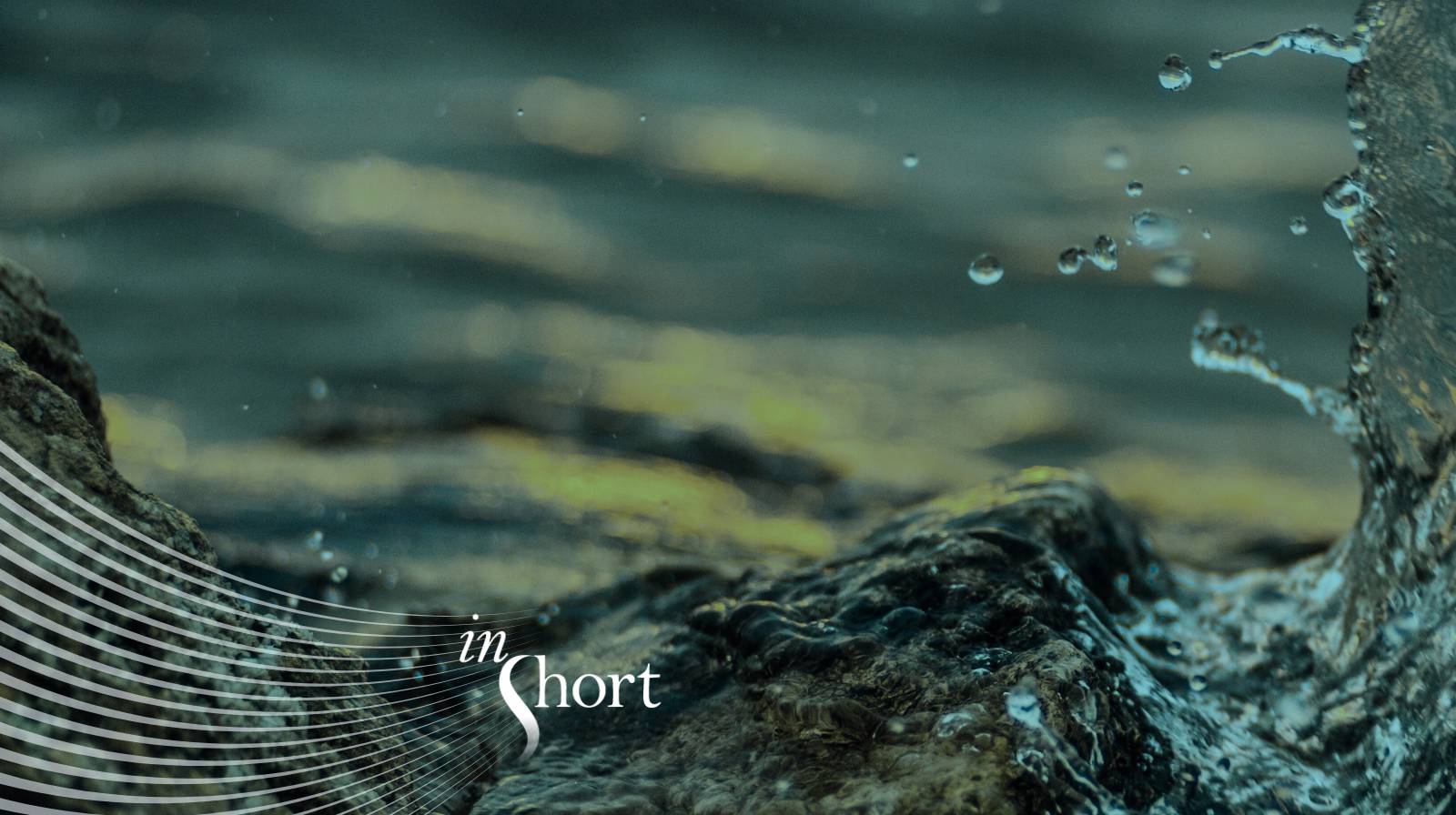 Emerging Markets “Golden Era” Underpins Growth Story