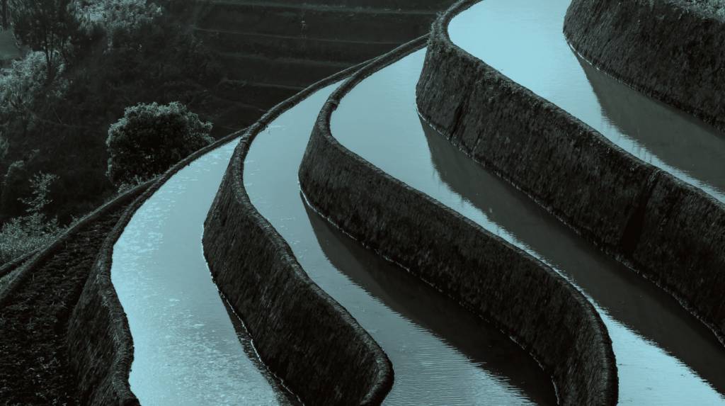 Weighing the Ingredients that Matter for Global Bank Credit Spreads