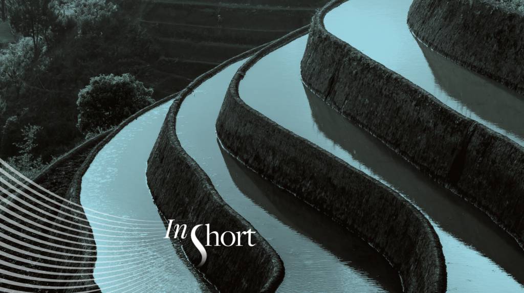 Weighing the Ingredients that Matter for Global Bank Credit Spreads