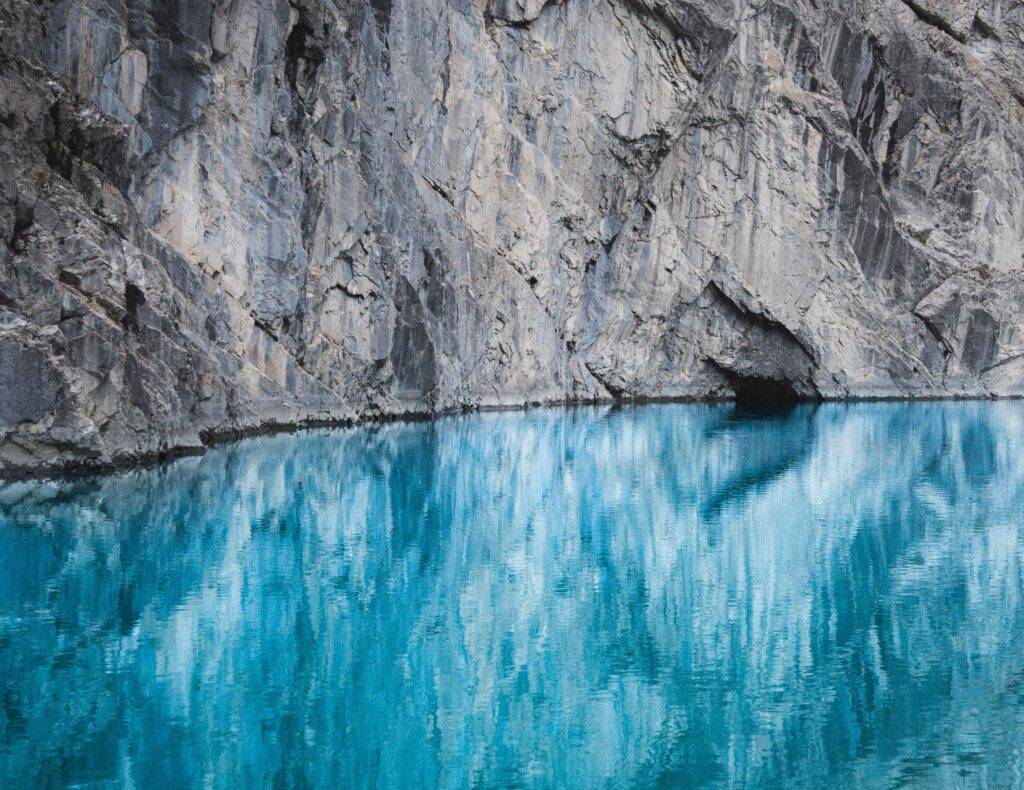 Biodiversity: The Nature of Investing