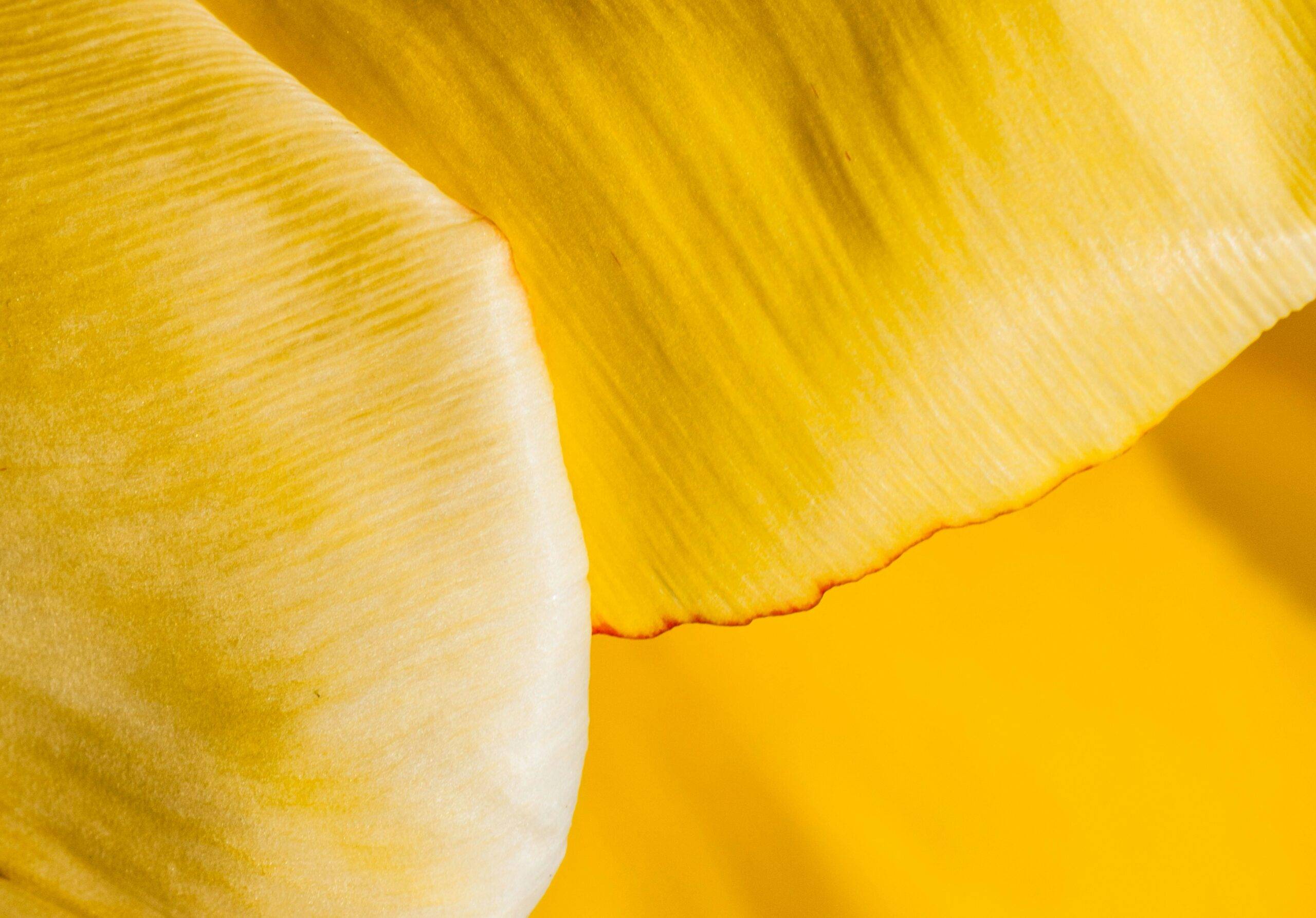 The Role of Portfolio Impact (PI) in the Disciplined Alpha Strategy