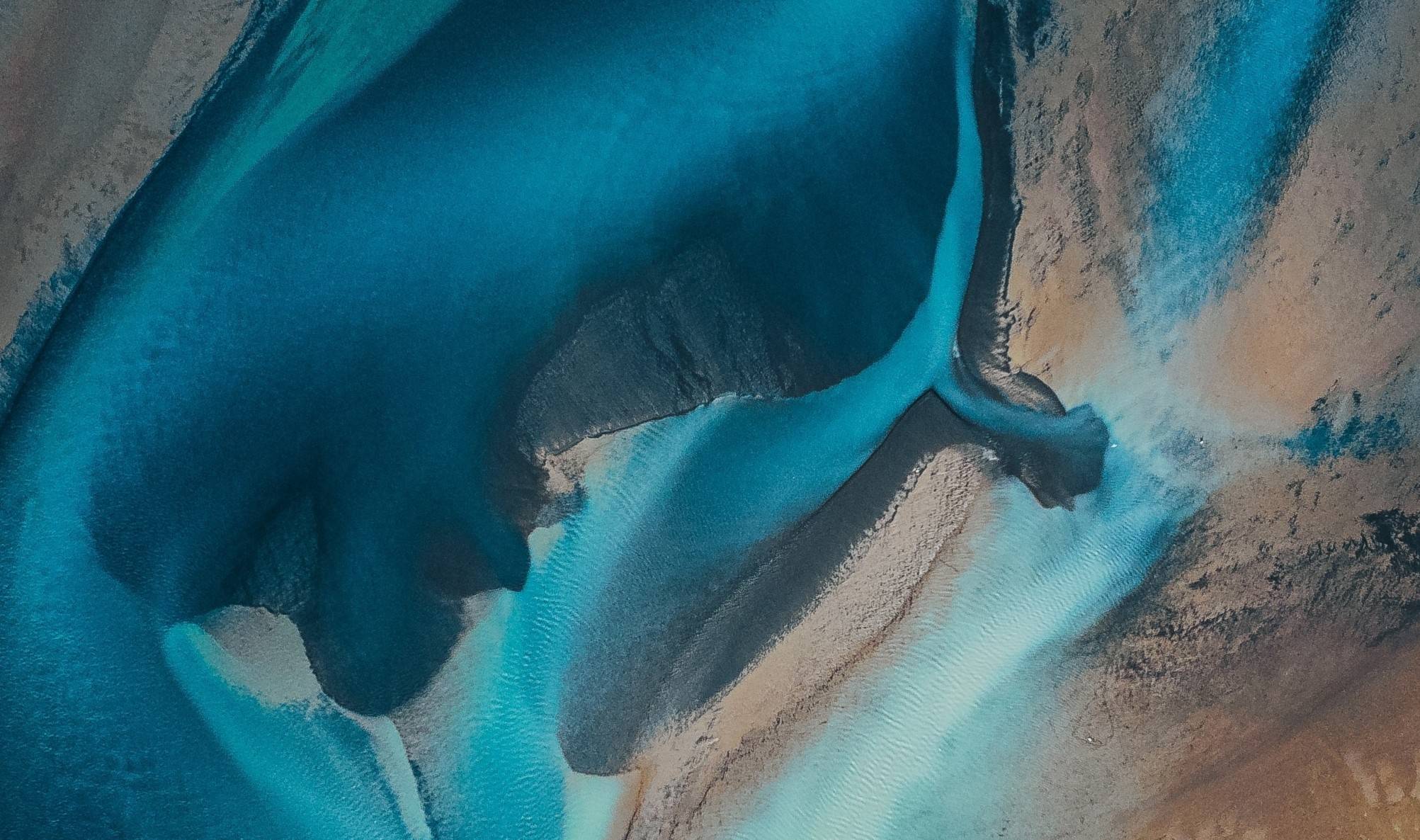 Unlocking Value in Private Credit: Inside Loomis Sayles’ Integrated Approach