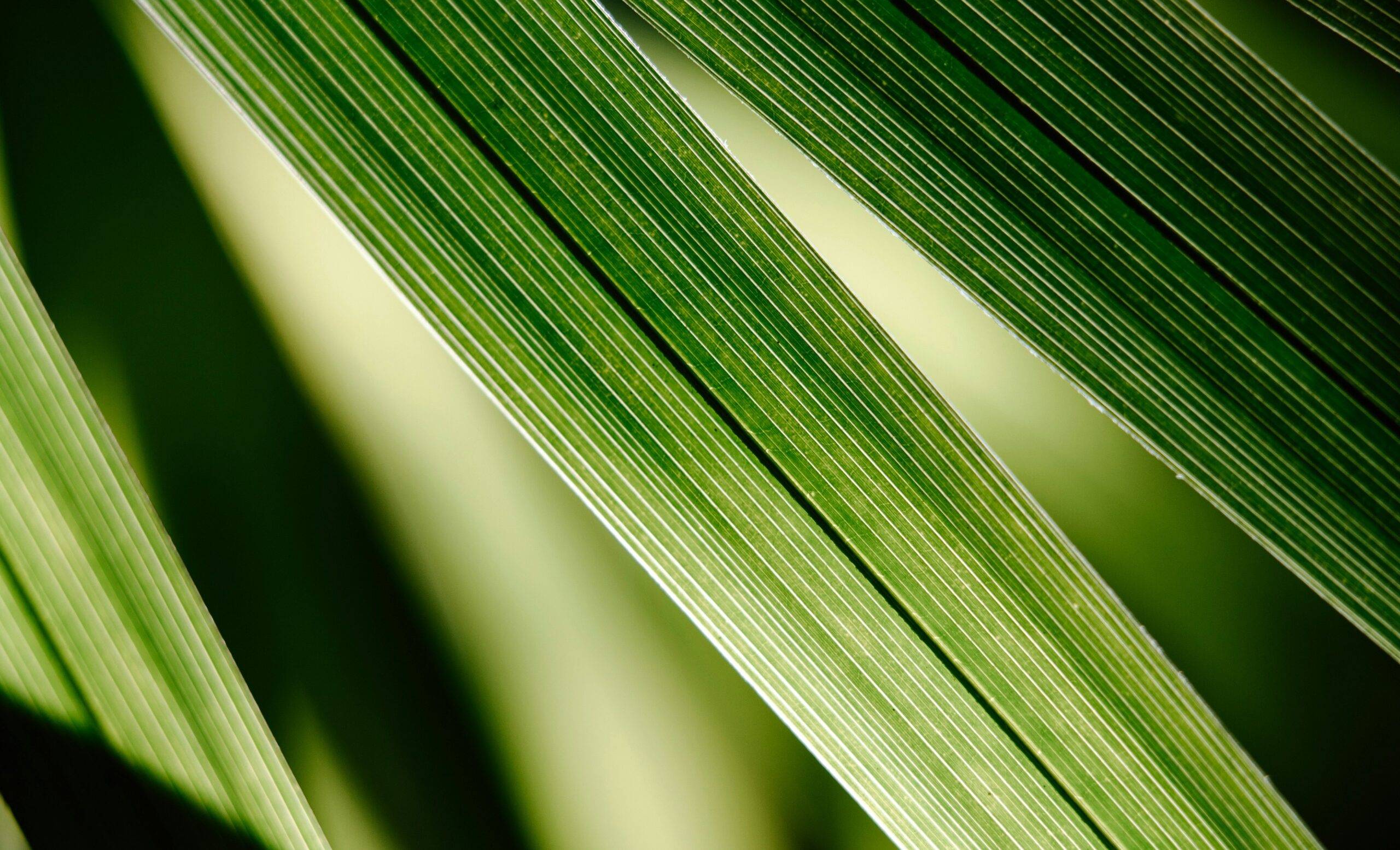 Loomis Sayles Disciplined Alpha: Tech-Related Energy Demands Present Challenges and Opportunities for Utilities