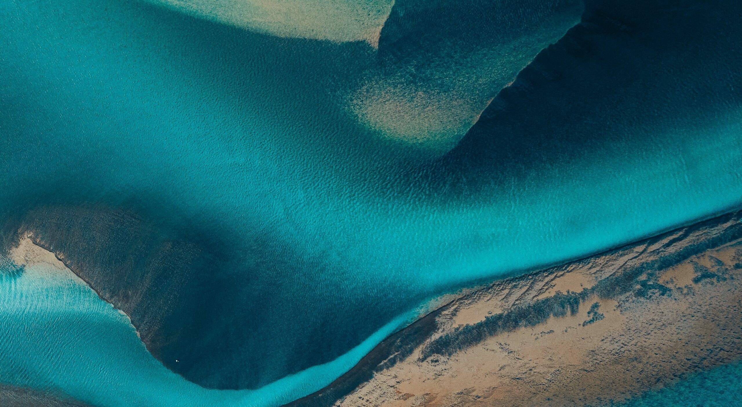 Banner Image
