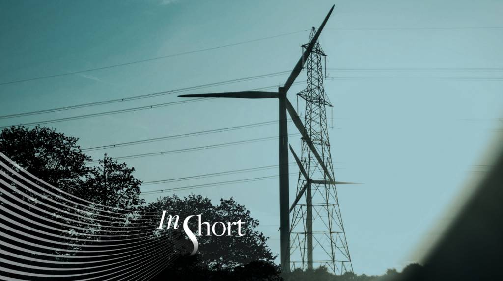 Renewable Energy as a Geopolitical Shield