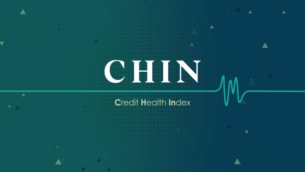 A Big-Picture Understanding of Corporate Health